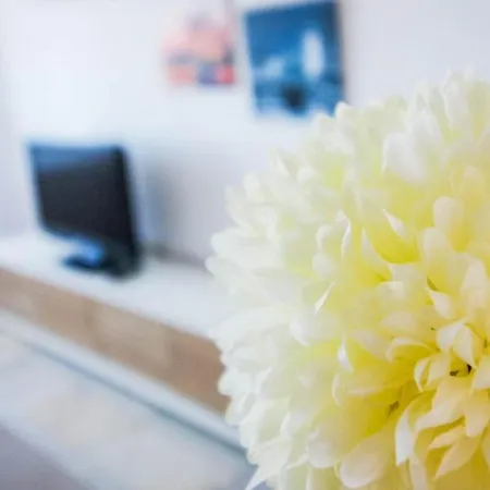 Apartamento Expoholidays - Corinto 4ºg Aguadulce (Almeria)